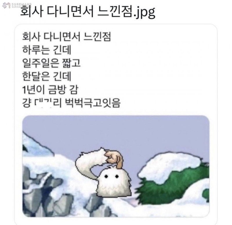 1706158263763.jpeg